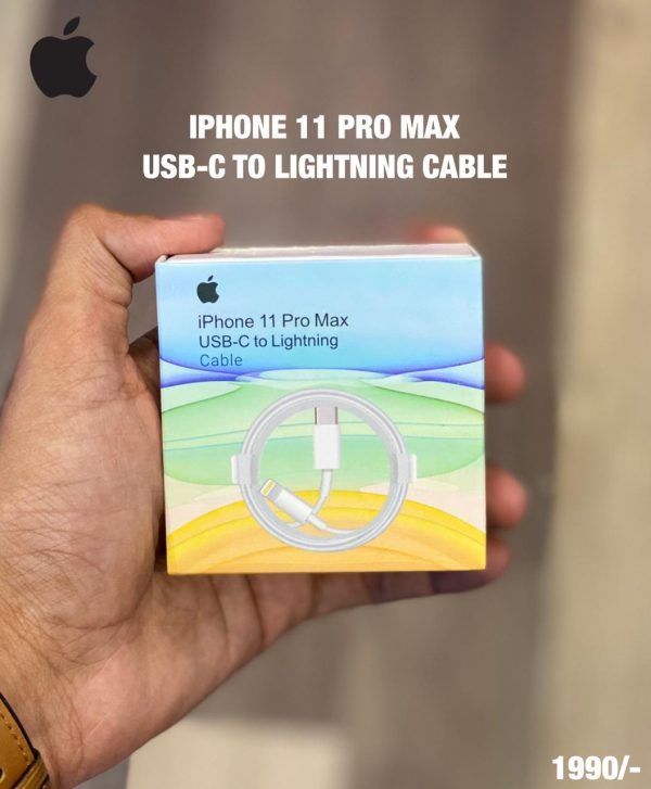 iPhone 11 Pro Max USB-C To Li0ghting Cable - alibuy.lk